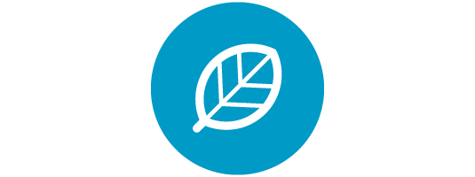 可持续性：为健康和环境影响而清洁